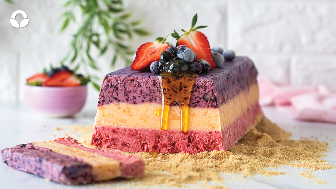 Fruit Frozen Yoghurt Terrine